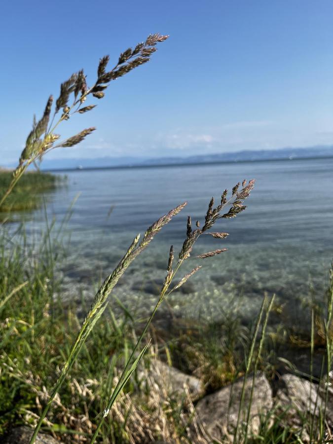 Kling Am See Friedrichshafen Luaran gambar