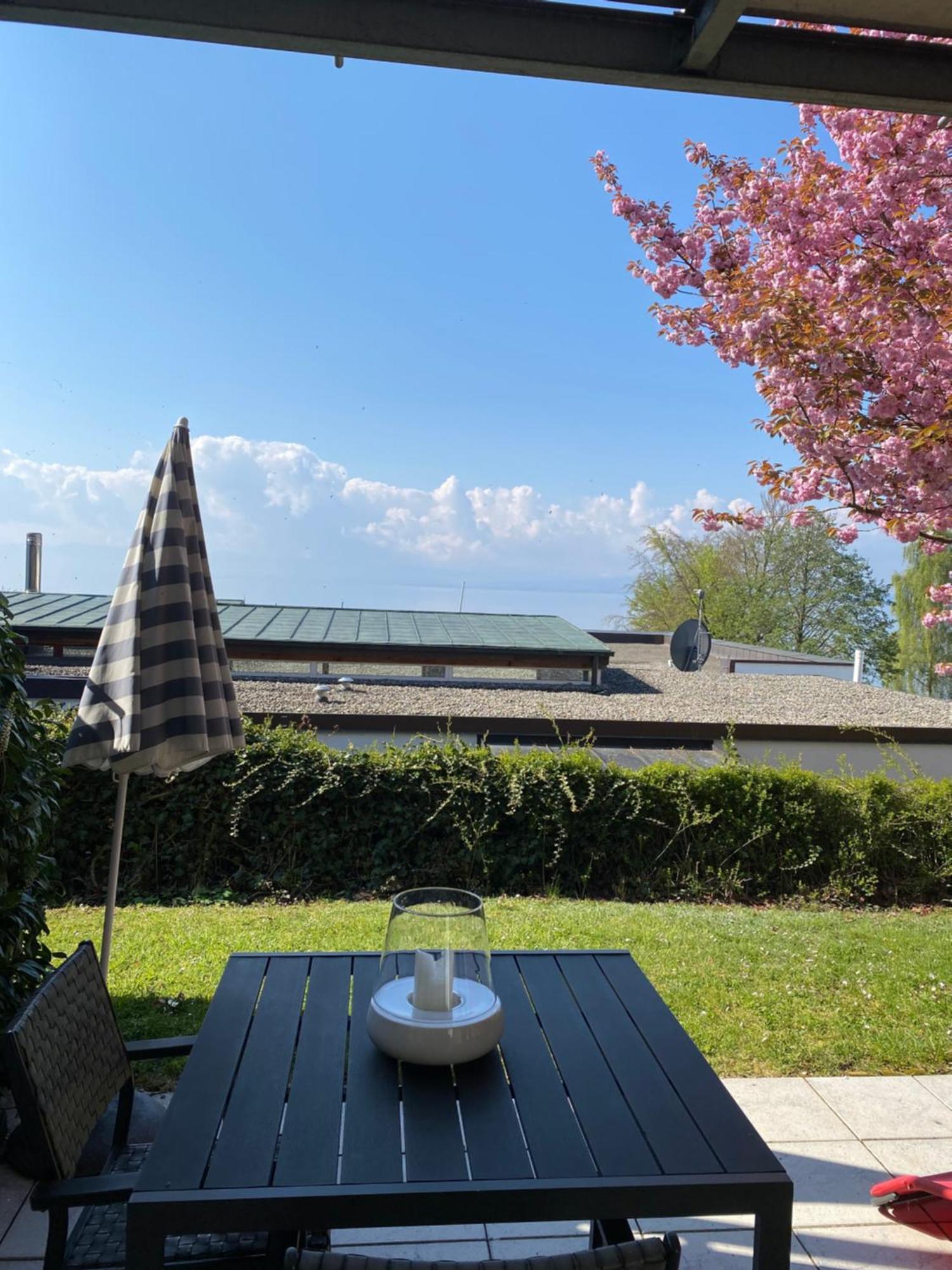 Kling Am See Friedrichshafen Bilik gambar